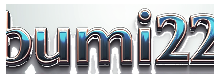 bumi22 net logo